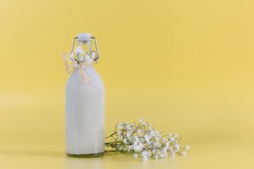 Veganer Eierlikoer