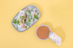 Summer Rolls mit Tempeh und Ernussdip