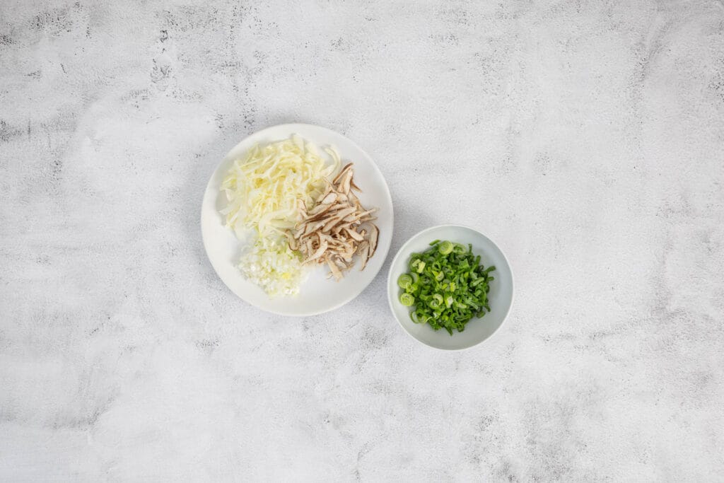Okonomiyaki vegan - Japanische Gemüse Pancakes