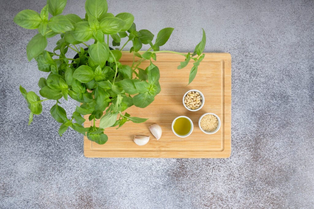 Frischer Basilikum im Topf mit Pinienkernen, Knoblauch, Olivenöl und Hefeflocken auf Holzbrett – alle Zutaten für veganes Pesto Genovese
