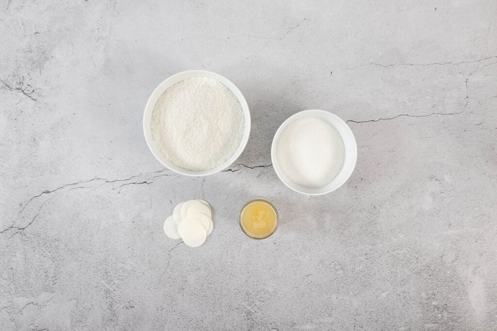 Zutaten für vegane Kokosmakronen auf heller Betonfläche: Kokosflocken, Zucker, Aquafaba und Oblaten für glutenfreie Weihnachtsguetzli